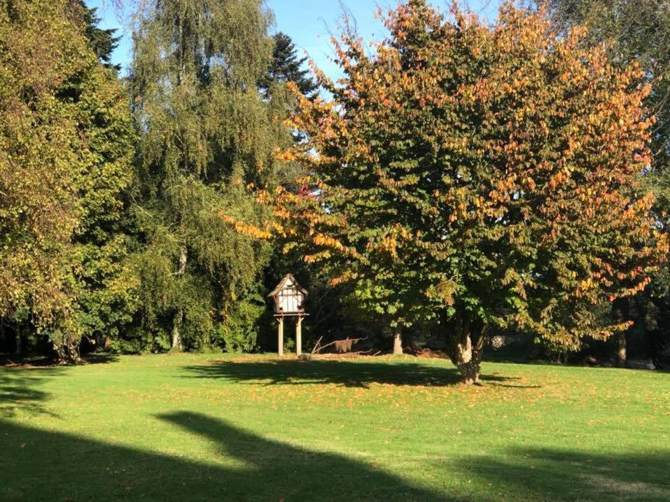 Gites Du Chateau De La Motte Joue-du-Plain Bagian luar foto